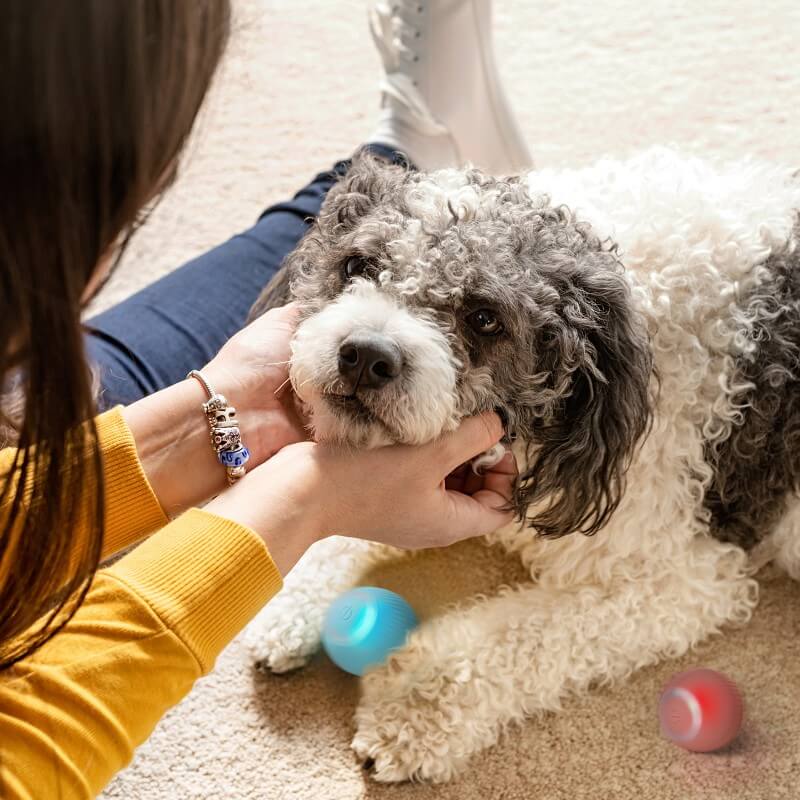 🎁Early Christmas Sale- 48% OFF - Smart Cat Toys Automatic Rolling Ball(🔥🔥BUY 3 GET 1 FREE NOW)