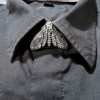 Death’s Head Moth Accessories