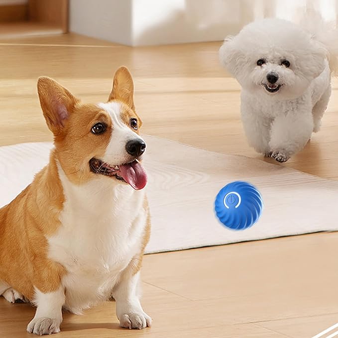 🔥Last Day 50% OFF🐶Automatic smart teasing dog ball that can't be bitten