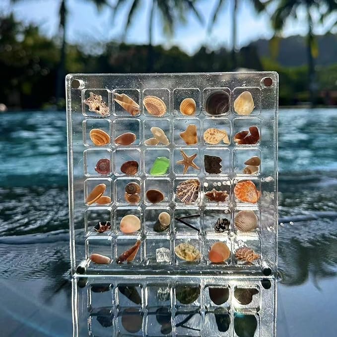 🔥Summer Hot Sale-50%OFF🐚Magnetic Seashell Display Case