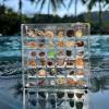 🔥Summer Hot Sale-50%OFF🐚Magnetic Seashell Display Case