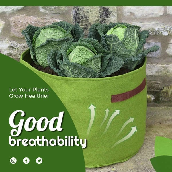 (🔥Last Day Promotion 50% OFF) Fabric Vegetable Plant Growth Bag, Buy 3 Get 2 Free & Free Shipping