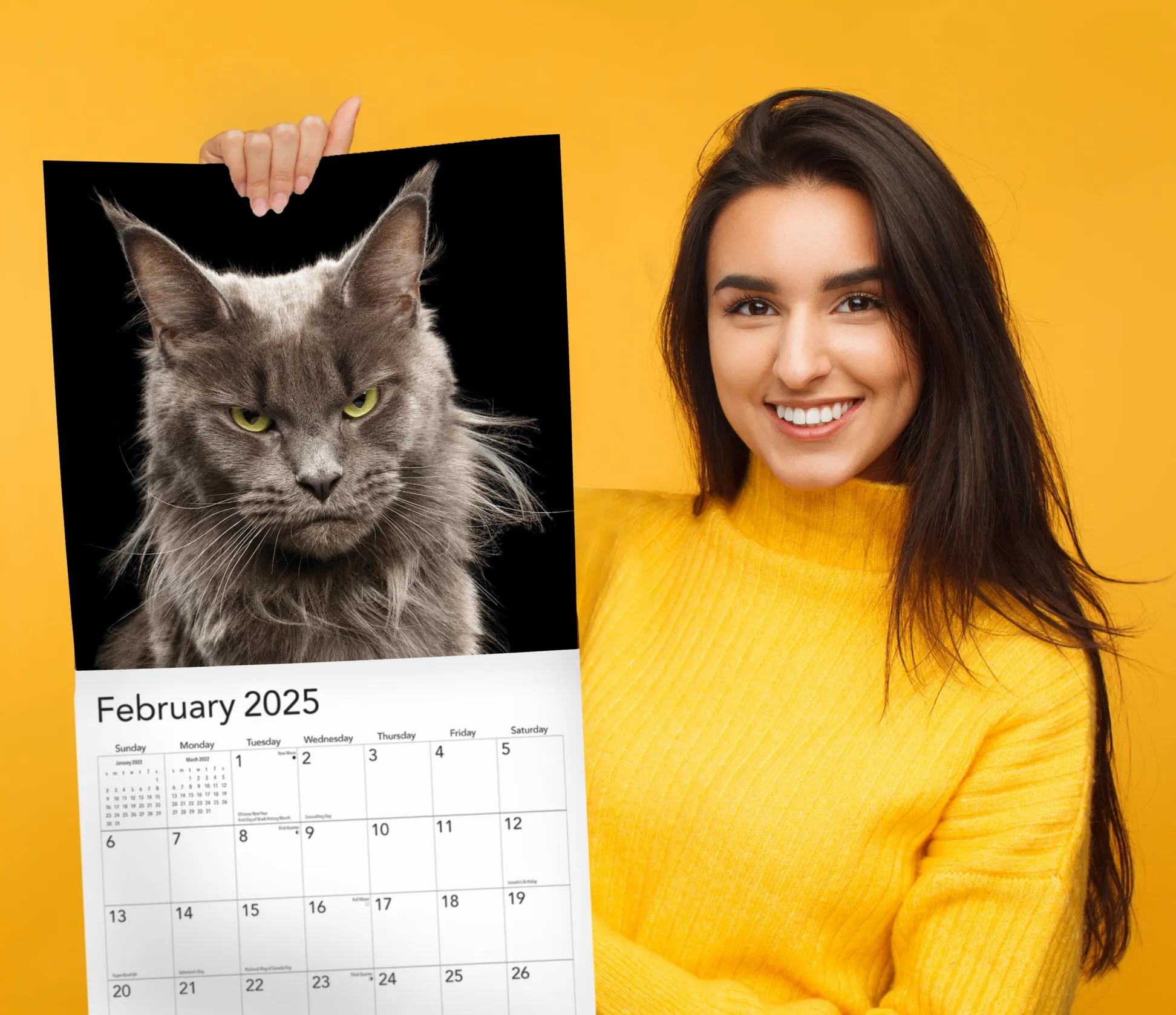 😾2025 P*ssed off P*ssies Angry Cats Calendar