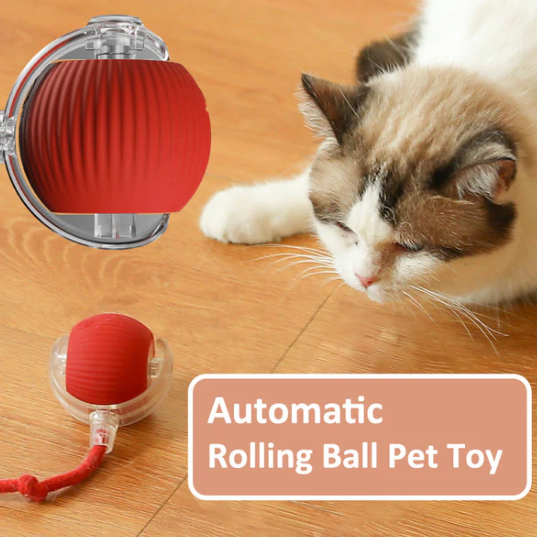 🔥Halloween promotion!🎃 Interactive Rolling Ball Toy(Free shipping on 2!)(10% off for 3,20% off for 4!)