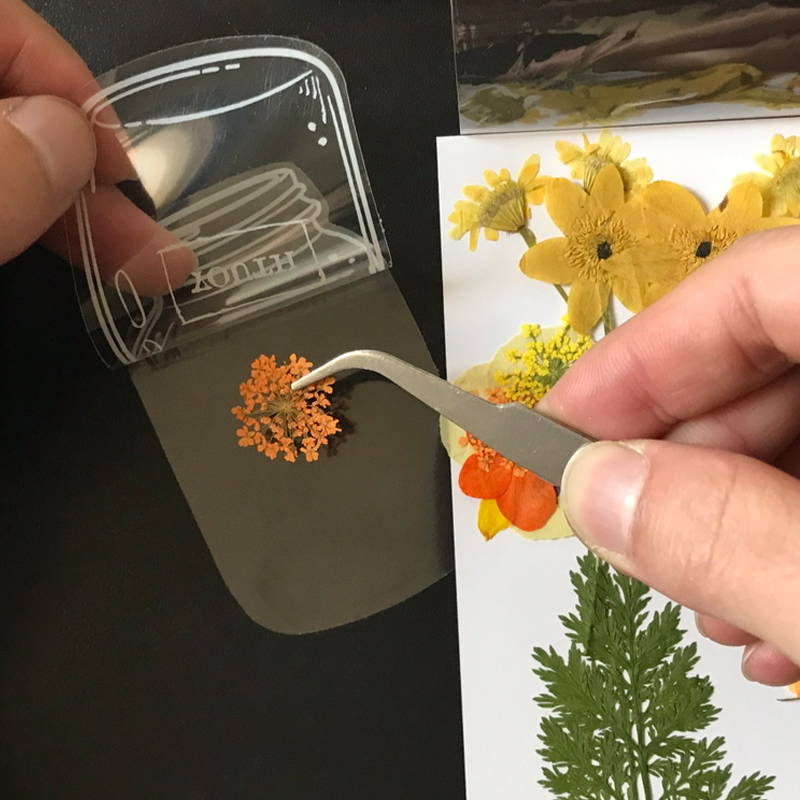 (🎅Christmas Sale- 50% OFF) Dried Flower Bookmarks(Free lace rope)