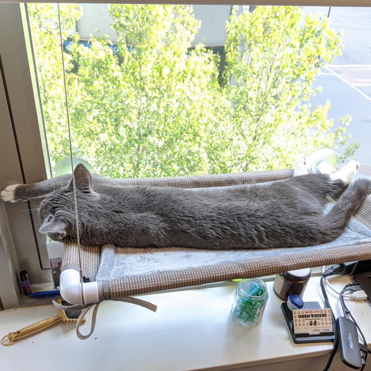 🔥Last Day 75% OFF🎁 —— Cat Window Perch