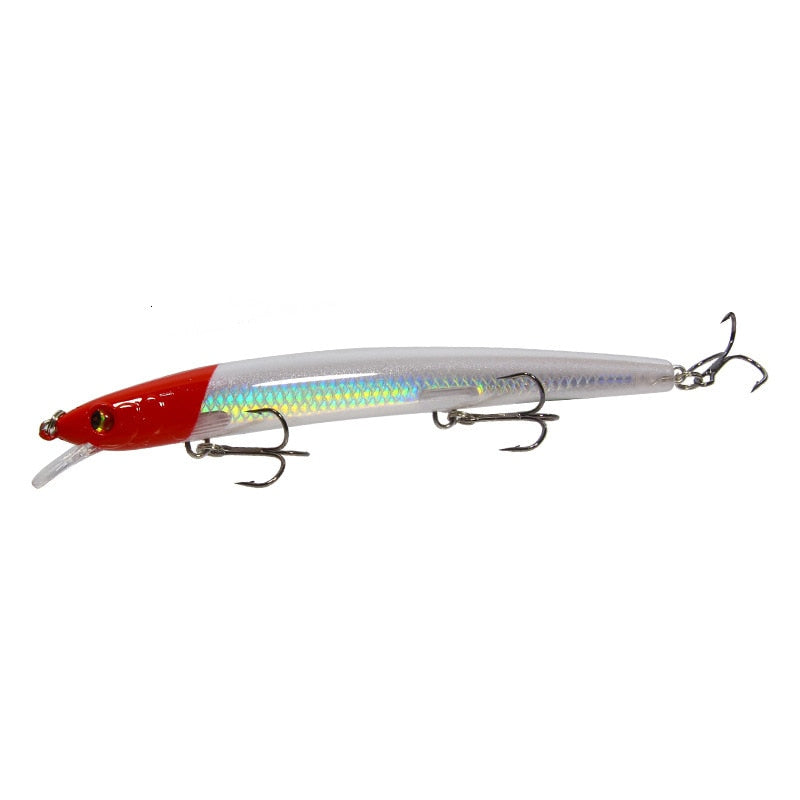 Minnow Fishing Lure