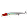 Minnow Fishing Lure