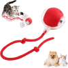 💗Letzter Tagesangebot: 49 % RABATT😻 Interaktiver Spielzeug Ball