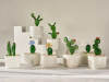 🌵Fused Glass Cactus Plants: 🔥Handmade Stained Glass Plant Decorations