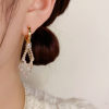 Double layered tassel elegant earrings-BUY 2 FREE SHIPPING