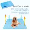 🔥LAST DAY 49% OFF 🧊Dog Cooling Mat (4x more effective)