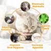 😽😽Catnip Ball For Cats Edible Toys🔥BUY 2 GET 1 FREE