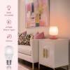 Touch Bedside Table Lamp - Modern Small Lamp for Bedroom Living Room Nightstand, Desk lamp with White Opal Glass Lamp Shade, Warm LED Bulb, 3 Way Dimmable, Simple Design Mother's Day Gifts