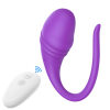 Female G-spot Wearable Vibrating Egg App Wireless Remote Masturbation Device - TD1087