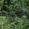 🔥Last Day Promotion - 60% OFF🎁🌳🌲5-in-1 Ghillie Suit Pro - Blinds for Jungle Hunting