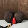 Nepal Natural Bodhi Seed Pendant