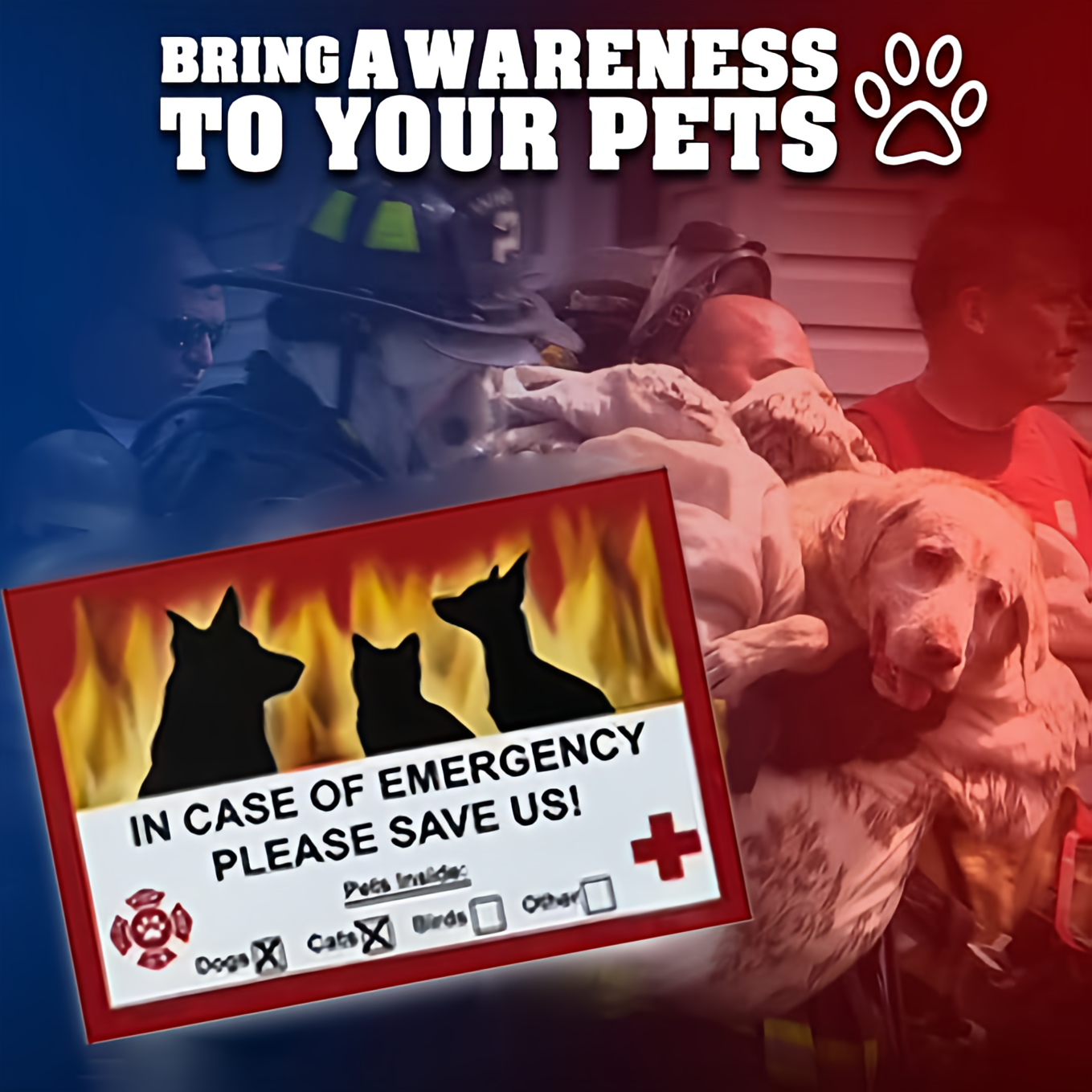 Pet Guardian Emergency Sticker 🐾🚪 – Customize & Protect Your Pets in Emergencies 🐶🐱