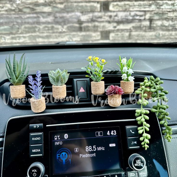 Mega Sale-Succulent Air Freshner Vent Clips