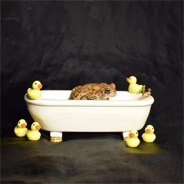 🎁Early Christmas Sale 50% OFF -🦆Tiny Ducks | Challenge Hiding 100 Ducks