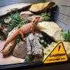 ⚠️Funny Reptiles Terrarium 