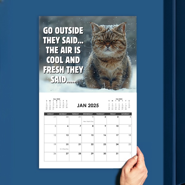 Buy 2 Free Shipping😾2025 Pissed-off Cats Calendar - Funny Cat Themed Gifts For Cat Lovers🎁