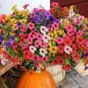 💥Upgraded high-grade material 🌱UV Resistant Lifelike Artificial Flowers