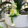 🎁TikTok Last Day Sale - 70% OFF🐸 Frog Flower Pot Hanger Ornament🍷