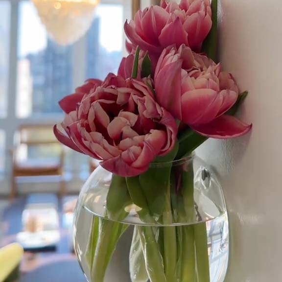 💥LAST DAY SALE 49% OFF🌼Wall hanging transparent vase-Buy 2 Free Shipping