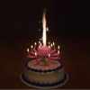 ⚡⚡Last Day Promotion 60% OFF - Magic Musical Flower Birthday Candle🔥🔥Buy 3 Get 3 Free(6 pcs)