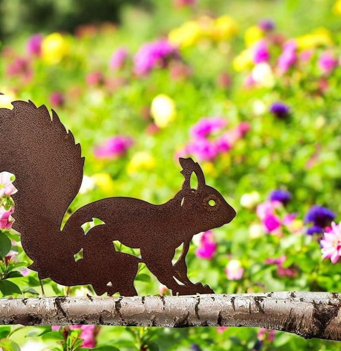 🔥 50% OFF – Limited Time Only! 🔥Handmade Rusty Iron Squirrel Garden Ornaments – Decorative Outdoor Metal Art & Gifts