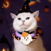 <strong>👻Last Day Halloween Special – 49% OFF!!!</strong> 🎃Handwoven Spooky Paws Halloween Costume Set