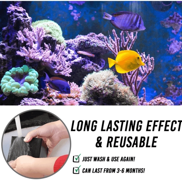 (🔥Last Day Promo - 70% OFF) Aquarium Water Purifier Cube Pro (BUY 2 GET 10% OFF 🎁 & FREE SHIPPING📦)