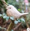 🔥Handmade Magpie Bird - Buy 3 Get Extra 15% Off & Free Shipping