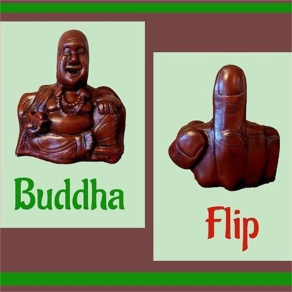 🤣The Buddha Flip | Unexpected backside