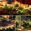 Color Changing Butterfly Solar Lights