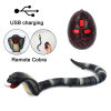 🎄CHRISTMAS SALE 48% OFF-High Imitation Snake Animal Toy Funny Prank Toy-BUY 2 FREE SHIPPING