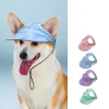 🔥Outdoor Sun Protection Hood For Dogs- Buy 2 Get Free Shipping Now!!!