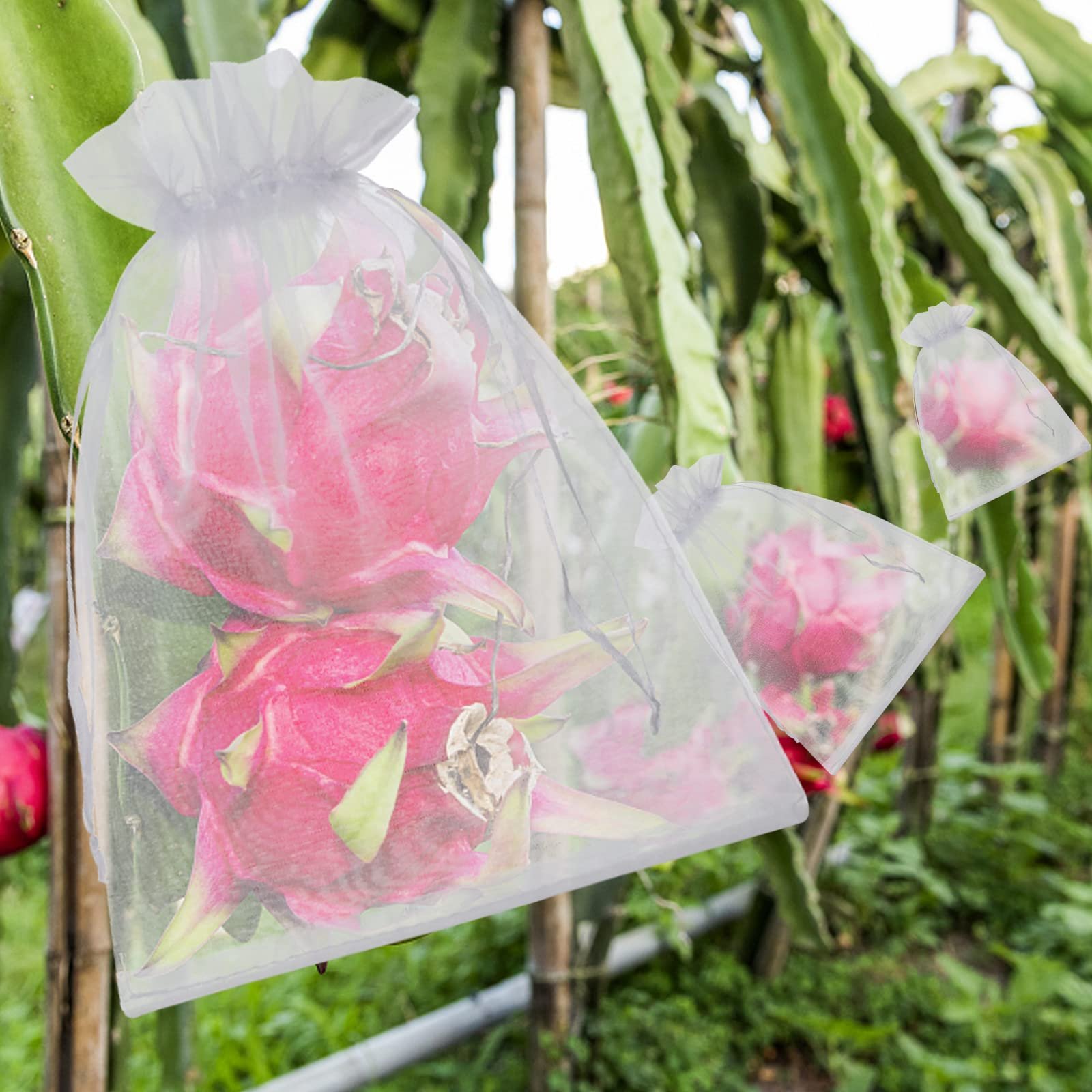 🎁TikTok Last Day Sale - 70% OFF🎉Fruit Protection Bags