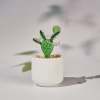 🌵Fused Glass Cactus Plants: 🔥Handmade Stained Glass Plant Decorations