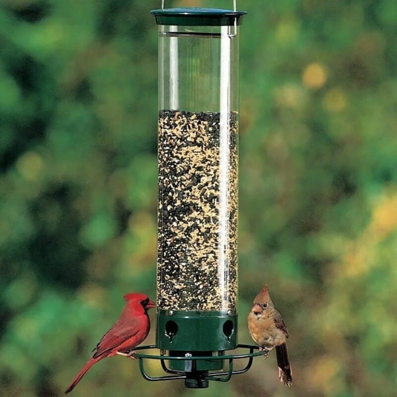 💥New Spring 2023-70% OFF💥100% Squirrel-Proof Bird Feeder-Buy 2 Free VIP Shipping