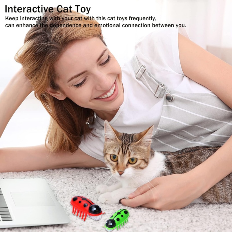 🔥Last Day 70% OFF🔥Mini Cute Electric Ladybug Cat Toy😻🐞