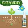 (🌳Spring Hot Sale 50% OFF) Plant Nutrient Solution💚(BUY 3 GET 2 FREE&FREE SHIPPING)