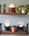 Light Projections Plant Pot