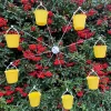 Fun Ferris Wheel Bird Feeder 🐦Create a bird playground in your garden