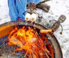 🔥Hot dog cooking sticks