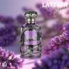🎉💥Lattafa Habik for Men Eau de Parfum Spray, 3.4 Ounce