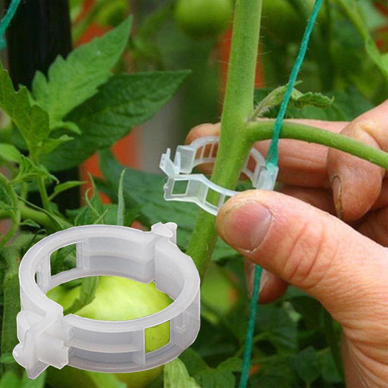 Last Day Promotion - 🔥Plant Support Clips