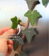 English Ivy Fridge Magnet with Articulating Vine