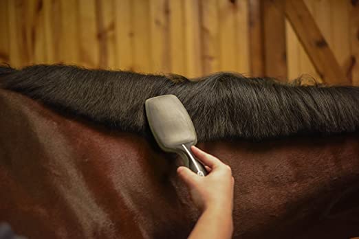 Professional Animal Equine Grooming Mane and Tail Horse Brush